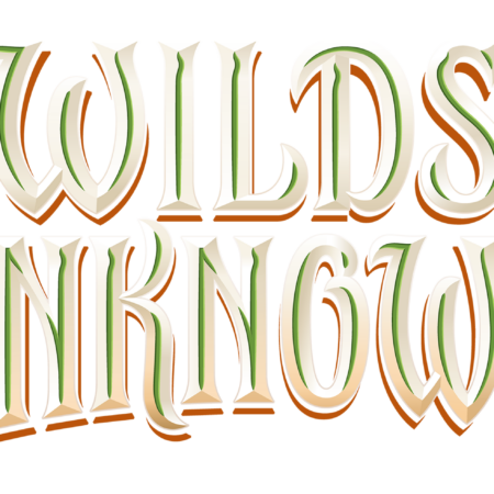 Wilds Unknown Set Championship Event Ticket